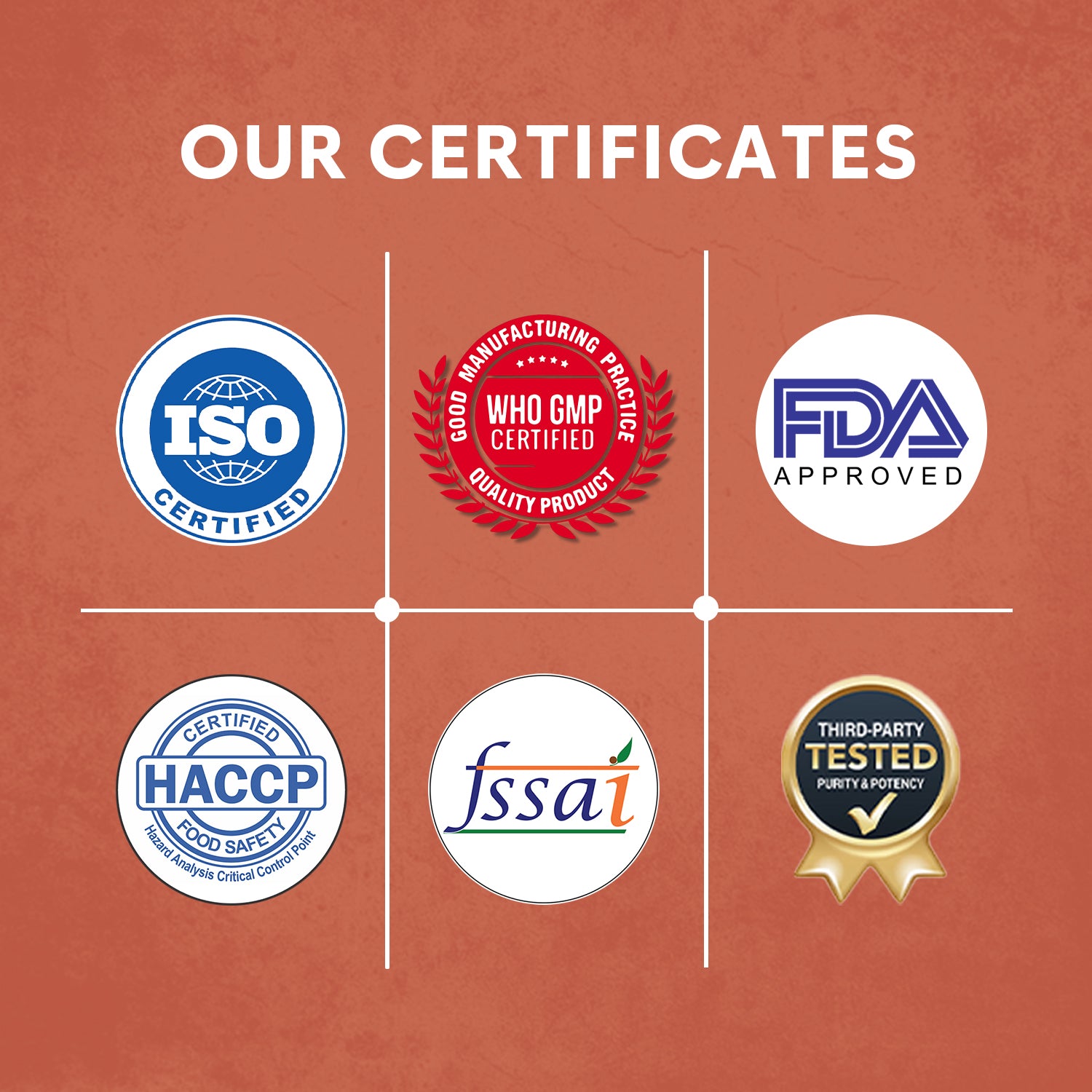 Bigrock Nutrition Power & Performance Boost Duo With FREE Shaker