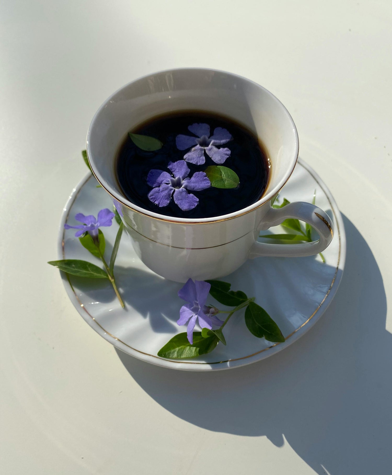 Is Coffee and Green Tea Good for Weight Loss?